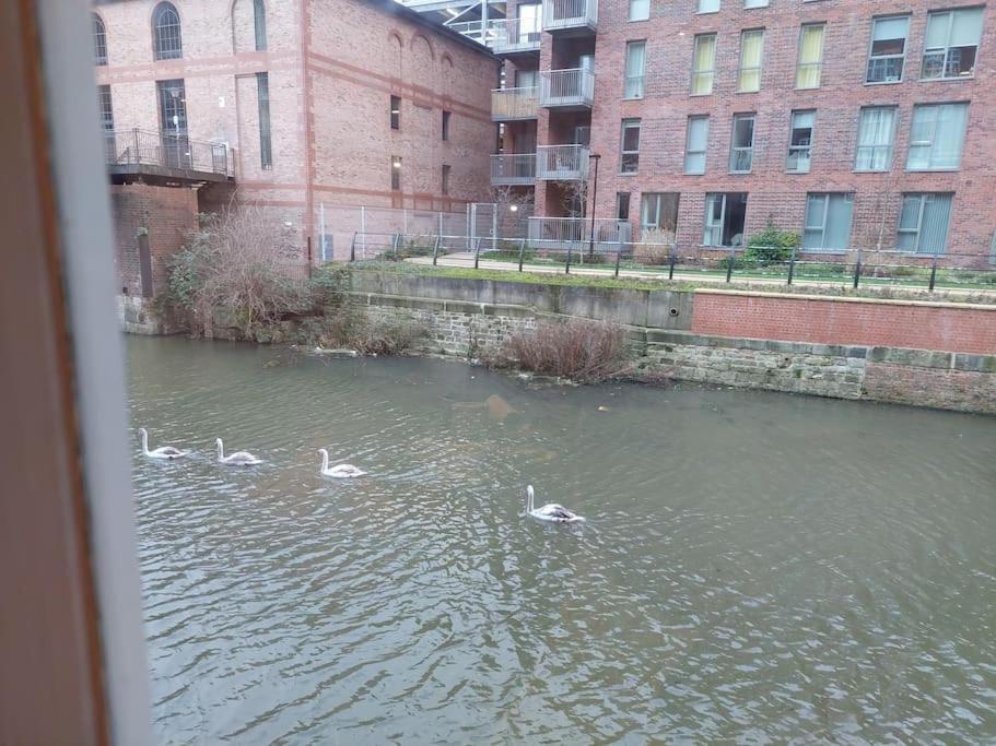 21 The Cocoa Suites York Bagian luar foto
